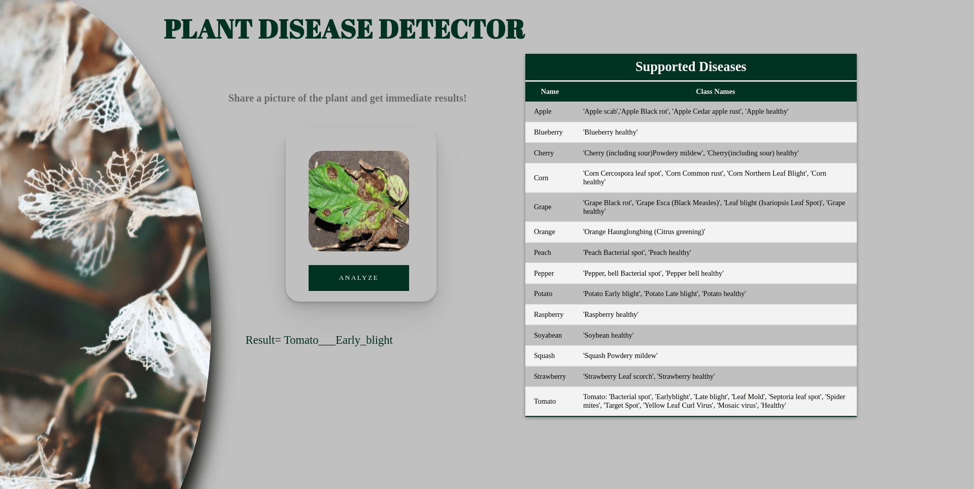 Plant Disease Detection & Treatment preview alt
